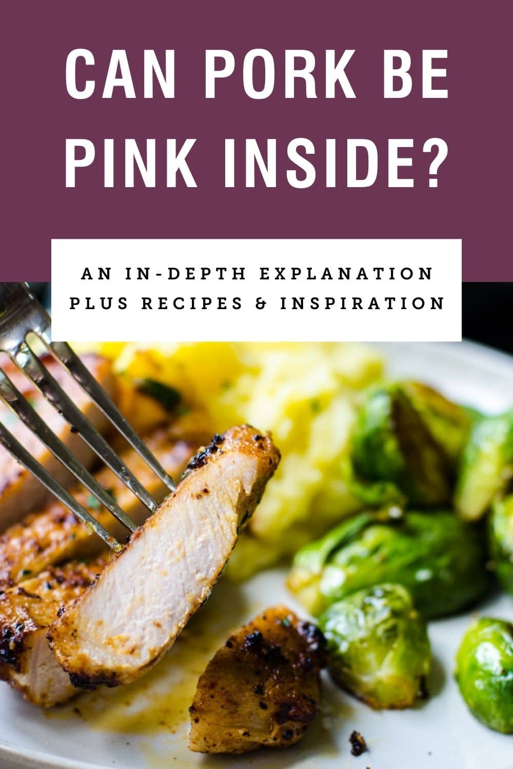 can-pork-be-pink-in-the-middle-an-in-depth-guide-food-above-gold